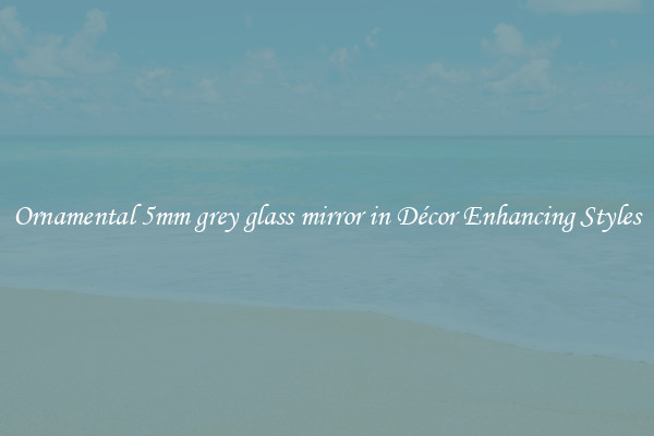 Ornamental 5mm grey glass mirror in Décor Enhancing Styles