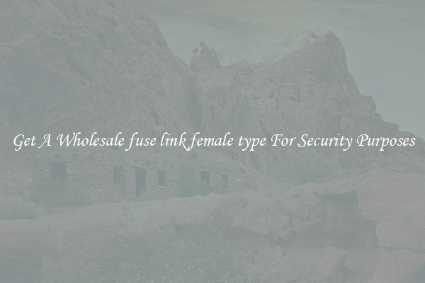 Get A Wholesale fuse link female type For Security Purposes