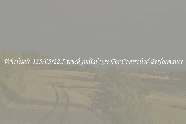 Wholesale 385/65r22.5 truck radial tyre For Controlled Performance