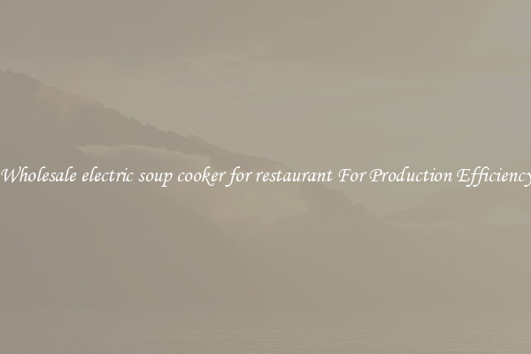 Wholesale electric soup cooker for restaurant For Production Efficiency