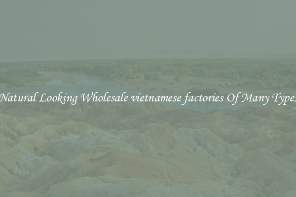 Natural Looking Wholesale vietnamese factories Of Many Types