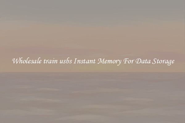 Wholesale train usbs Instant Memory For Data Storage