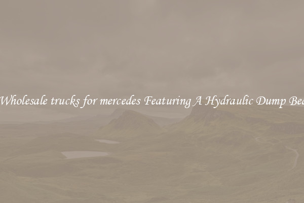Wholesale trucks for mercedes Featuring A Hydraulic Dump Bed