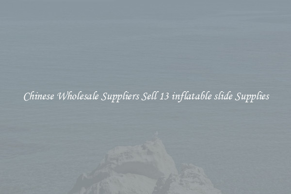 Chinese Wholesale Suppliers Sell 13 inflatable slide Supplies