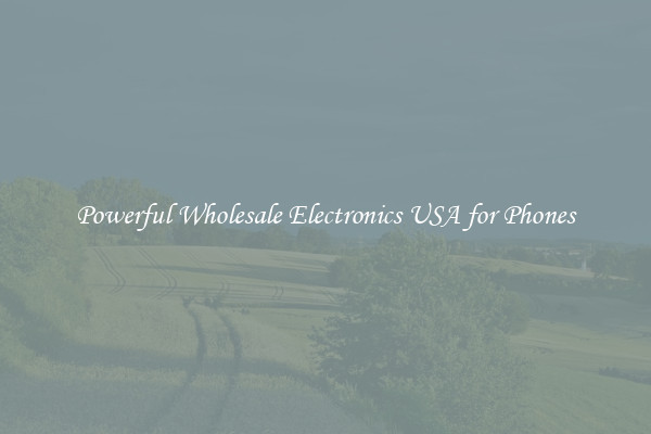 Powerful Wholesale Electronics USA for Phones
