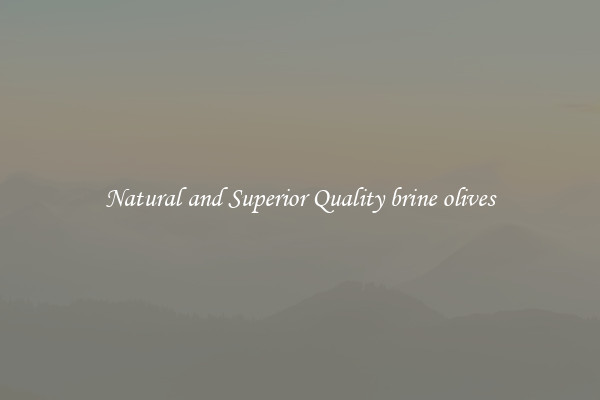 Natural and Superior Quality brine olives