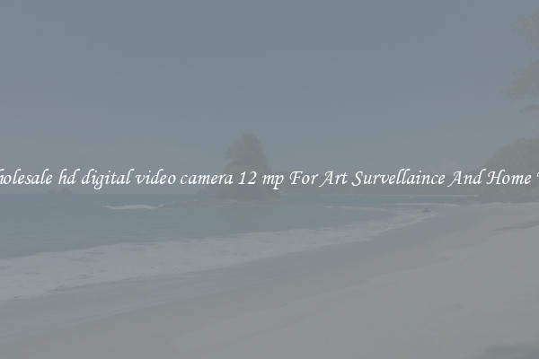 Wholesale hd digital video camera 12 mp For Art Survellaince And Home Use