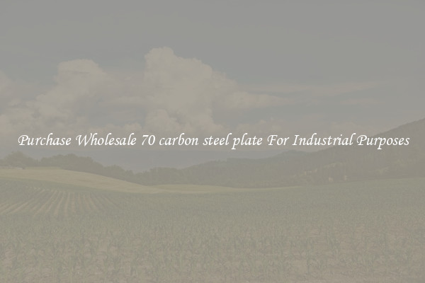 Purchase Wholesale 70 carbon steel plate For Industrial Purposes