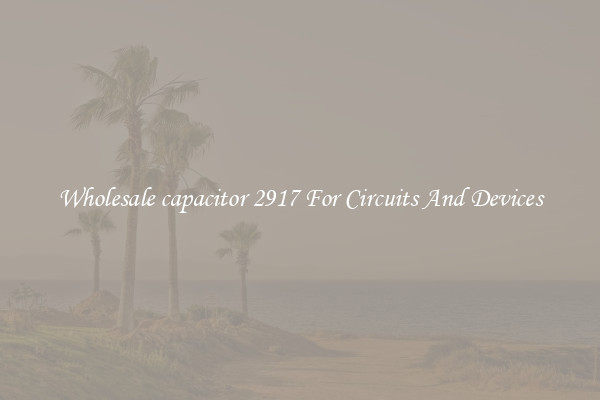 Wholesale capacitor 2917 For Circuits And Devices