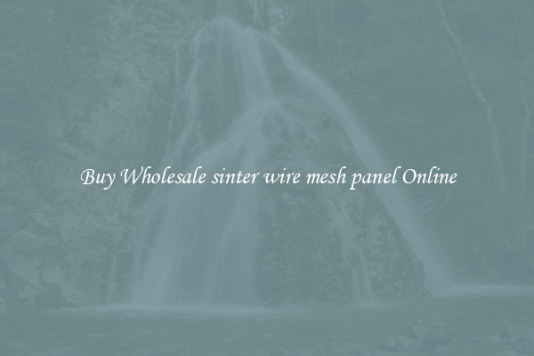 Buy Wholesale sinter wire mesh panel Online