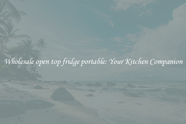 Wholesale open top fridge portable: Your Kitchen Companion