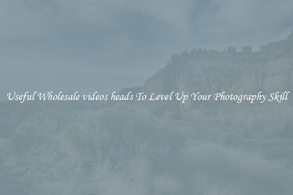 Useful Wholesale videos heads To Level Up Your Photography Skill