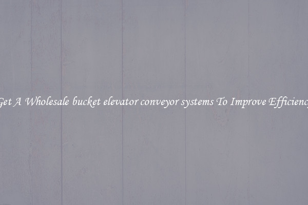 Get A Wholesale bucket elevator conveyor systems To Improve Efficiency