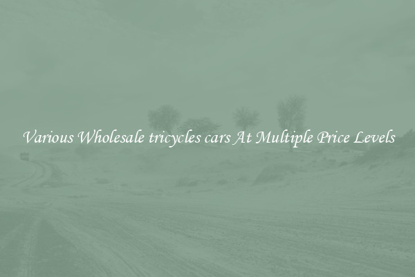 Various Wholesale tricycles cars At Multiple Price Levels