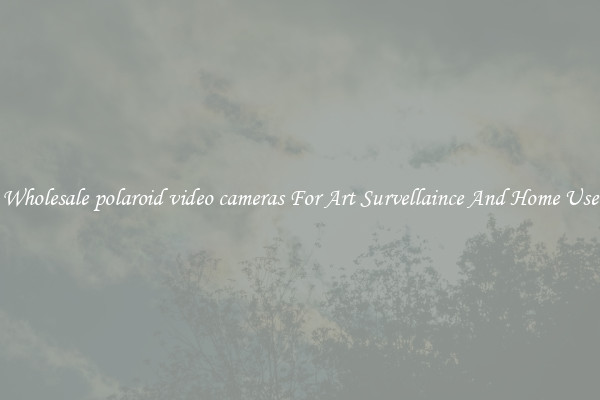 Wholesale polaroid video cameras For Art Survellaince And Home Use