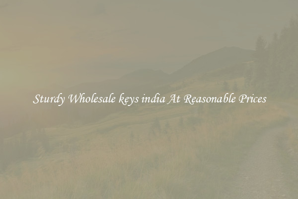 Sturdy Wholesale keys india At Reasonable Prices