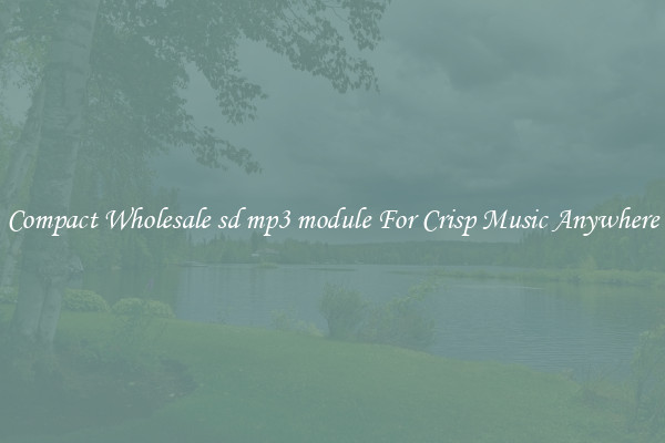 Compact Wholesale sd mp3 module For Crisp Music Anywhere
