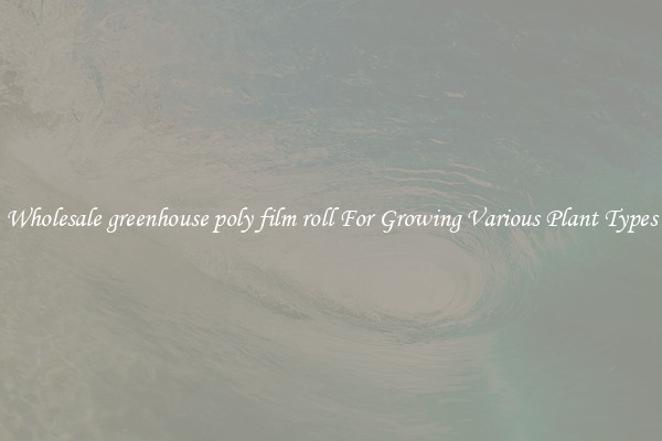 Wholesale greenhouse poly film roll For Growing Various Plant Types