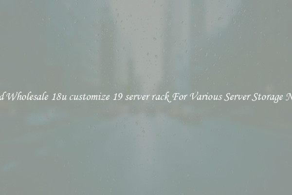 Solid Wholesale 18u customize 19 server rack For Various Server Storage Needs