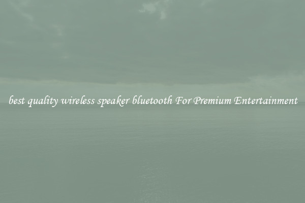 best quality wireless speaker bluetooth For Premium Entertainment