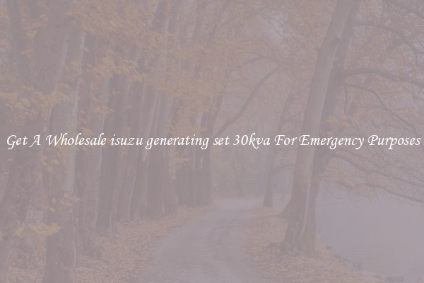 Get A Wholesale isuzu generating set 30kva For Emergency Purposes