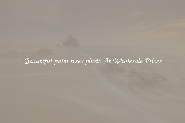 Beautiful palm trees photo At Wholesale Prices